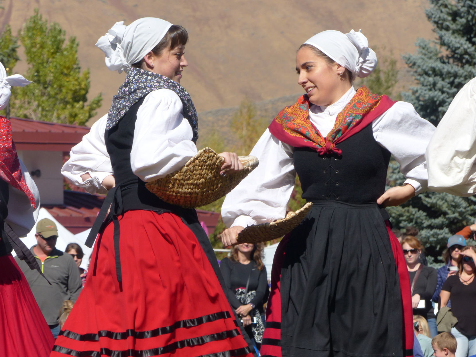 Sheep Fair